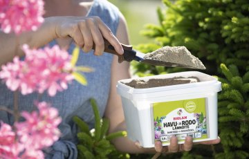 Lai ziemcietes priecētu daudzus gadus