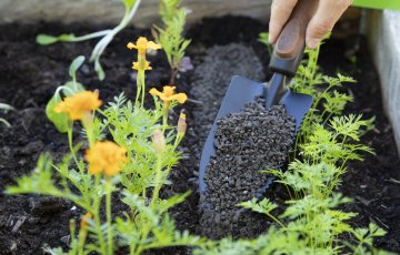 Biolan Organic – mūsu jaunie mēslošanas līdzekļi piemājas un hobija dārziem