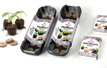 Nesteidzieties - lielākā kļūda stādu audzēšanā ir pārāk agra sēja.