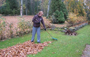 Pirms ziemas iestāšanās veicamie darbi