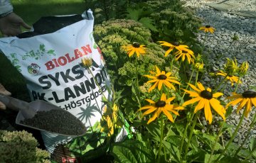 Rudens darbi dārzā