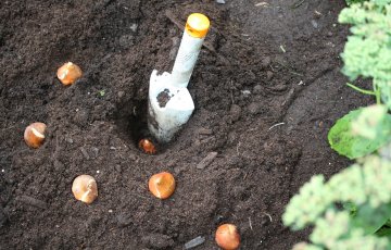 Steigšanās rudenīgajā dārzā var kļūt liktenīga